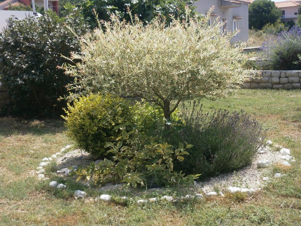 Apartment Maslina بيبينيا المظهر الخارجي الصورة