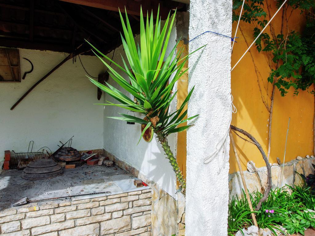 Apartment Maslina بيبينيا المظهر الخارجي الصورة